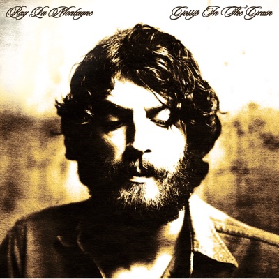 Cover art for Winter Birds by Ray LaMontagne