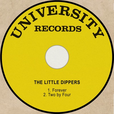 Cover art for Forever by The Little Dippers