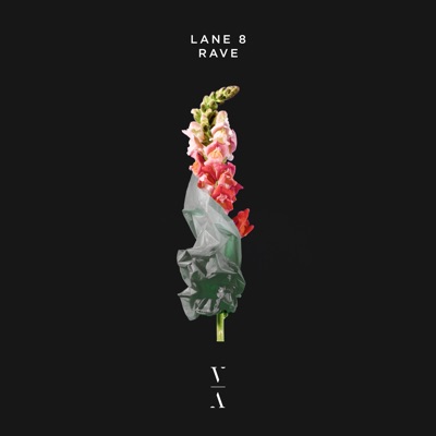Cover art for Rave by Lane 8