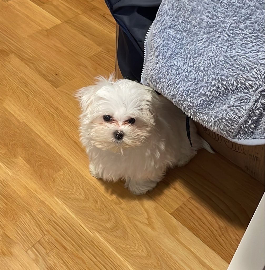 Photo from “My coworker today”