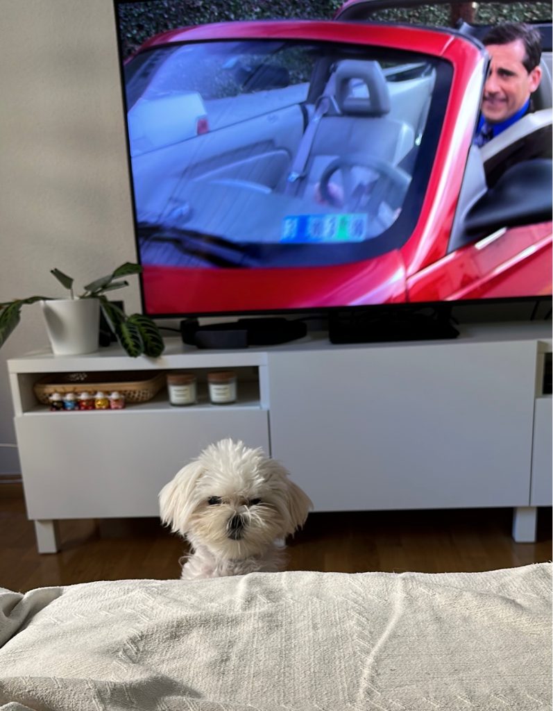 Photo from “Someone is watching me”
