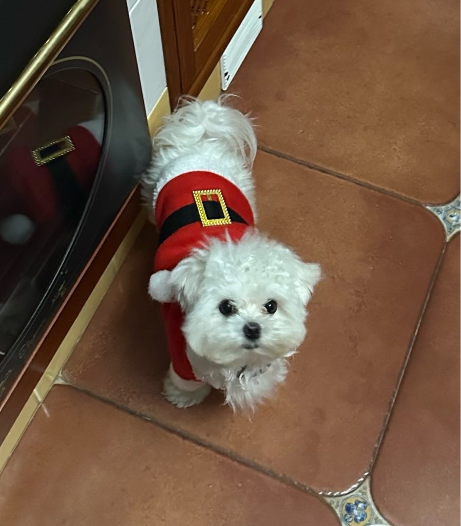 Photo from “Santa is here”